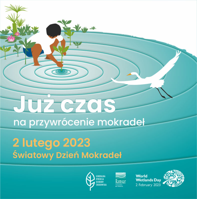 Światowy Dzień Mokradeł 2023 - ZielonaGospodarka.pl