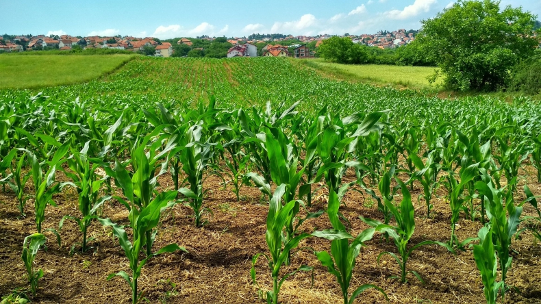 Przejście oraz rozwój rolnictwa bezorkowego może być sfinansowane pożyczką 0% - ZielonaGospodarka.pl