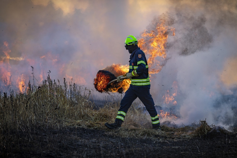 Eksperci: Wypalanie traw to "barbarzyński proceder" - niszczy środowisko i zatruwa powietrze - ZielonaGospodarka.pl