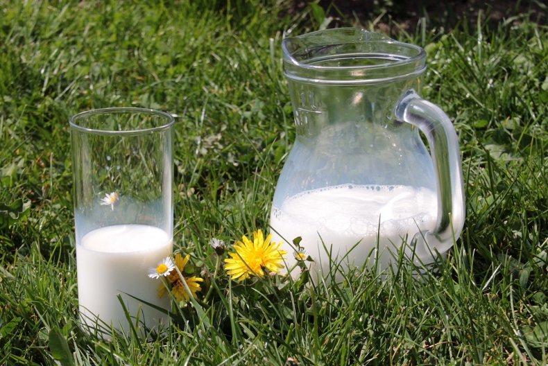 Polscy przetwórcy i producenci mleka chcą zmniejszyć ich negatywny wpływ na środowisko. Emisje metanu jednym z największych problemów - ZielonaGospodarka.pl