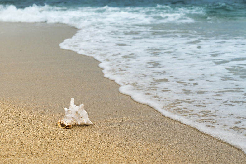 Skonfiskowany turystom piasek z plaż Sardynii trafi tam, skąd go zabrali - ZielonaGospodarka.pl