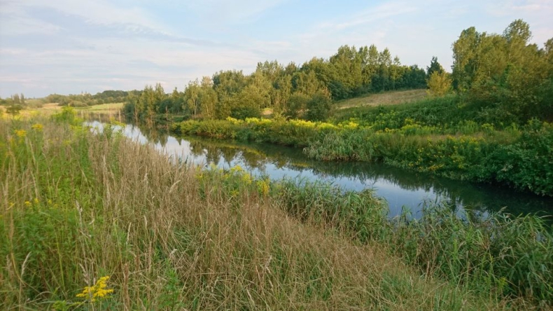 Ruda Śląska. Użytek ekologiczny ustanowiono w dolinie rzeki Kochłówki - ZielonaGospodarka.pl