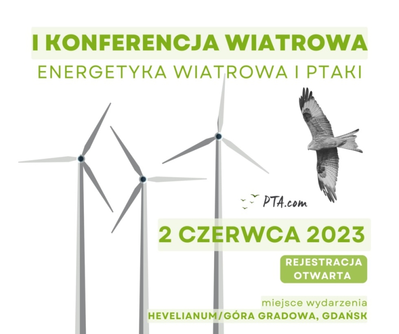 I Konferencja Wiatrowa - Energetyka wiatrowa i ptaki - ZielonaGospodarka.pl