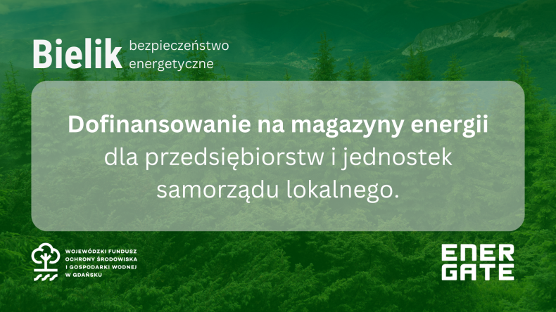 Bielik - dofinansowania na magazyn energii - ZielonaGospodarka.pl