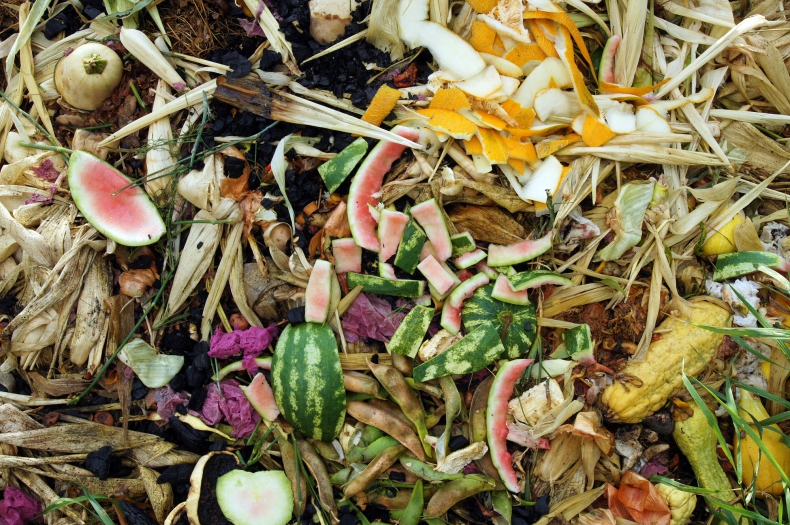 120 zł rocznie będzie można zaoszczędzić kompostując bioodpady - ZielonaGospodarka.pl