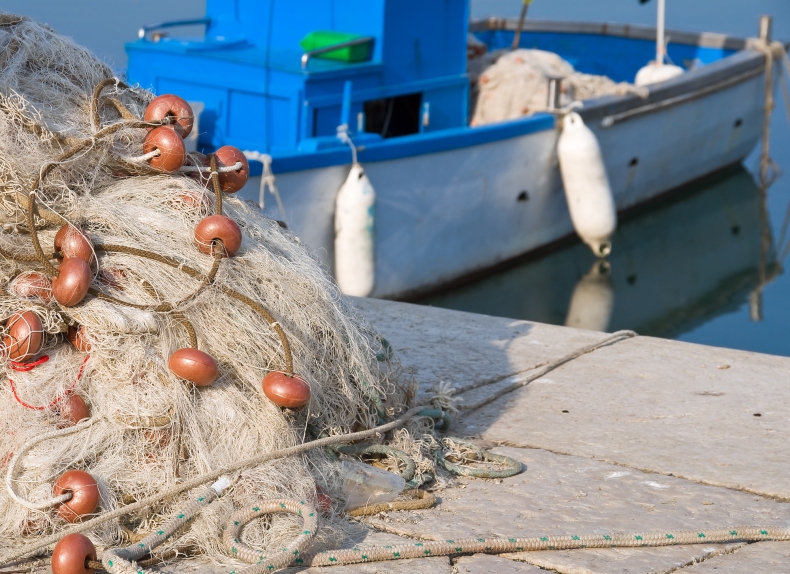 W Sejmie ozpatrzono projekt ustawy o wspieraniu zrównoważonego rozwoju sektora rybackiego - ZielonaGospodarka.pl