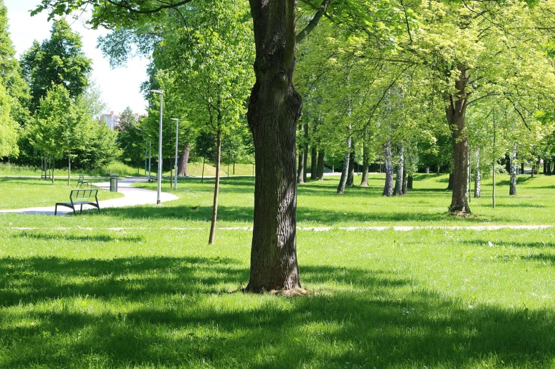 Eksperci: zieleń miejska może łagodzić skutki zmian klimatu - ZielonaGospodarka.pl