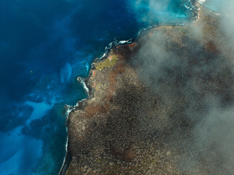 Leonardo Di Caprio odbuduje ekosystem Wysp Galapagos. Pula inwestycji sięgnie 43 mln dolarów - ZielonaGospodarka.pl