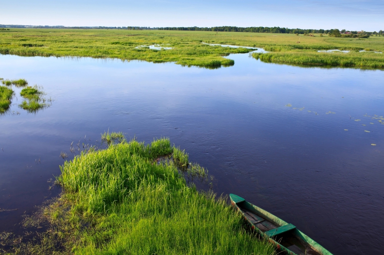 Ekolodzy zwrócą uwagę na problem ochrony wód; w niedzielę akcja "Big Jump" - ZielonaGospodarka.pl
