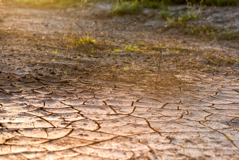 Rząd do końca września chce przyjąć zmiany w szacowaniu szkód suszowych - ZielonaGospodarka.pl
