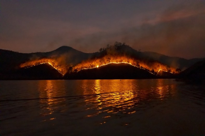 Na La Palmie spłonęło blisko 5 tys. ha lasów i łąk; trwa ewakuacja ludności i zwierząt - ZielonaGospodarka.pl