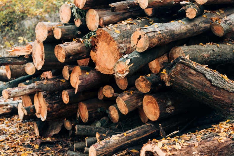 Użycie drewna w budownictwie nie jest neutralne dla środowiska - ZielonaGospodarka.pl