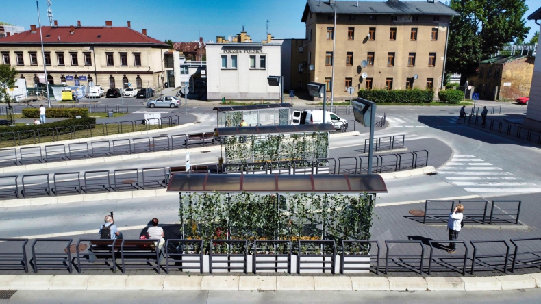 Czechowickie "roślinne" przystanki pomagają w retencji wody i dają cień - ZielonaGospodarka.pl