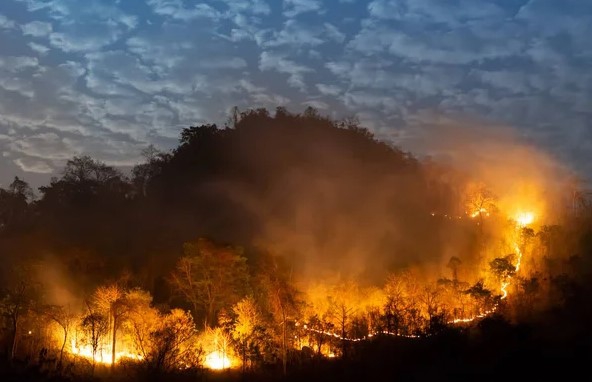 Część pożarów w rejonie Aten jest wynikiem podpaleń - ZielonaGospodarka.pl
