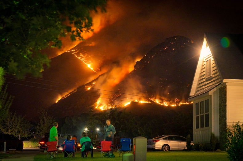 Grecja utraciła w br. w pożarach 161 tys. hektarów lasów, najwięcej ze wszystkich krajów południa Europy - ZielonaGospodarka.pl