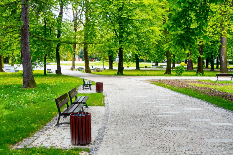 W weekend odbędzie się wspólne sadzenie drzew i kwiatów w Parku Śląskim - ZielonaGospodarka.pl