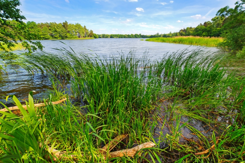 Oczyszczono cztery jeziora należące do województwa pomorskiego - ZielonaGospodarka.pl