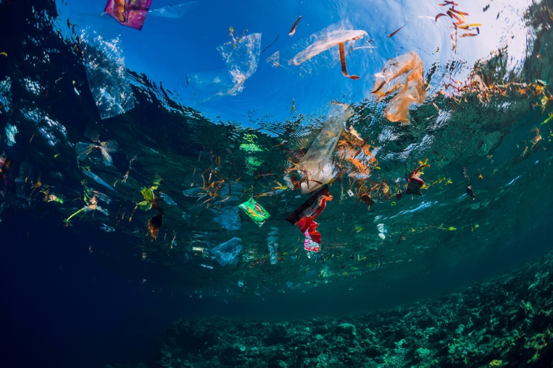 Także biodegradowalny plastik jest szkodliwy dla ryb - ZielonaGospodarka.pl