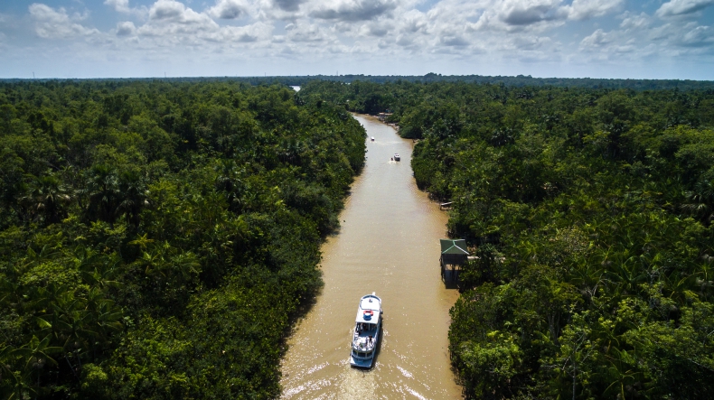 Historyczna susza w Amazonii: wysychają rzeki, giną delfiny, ustała żegluga - ZielonaGospodarka.pl