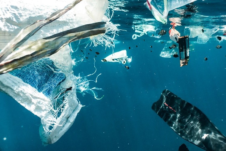 Jak na ekosystem morski wpływa mikroplastik? Raport SodaStream - ZielonaGospodarka.pl