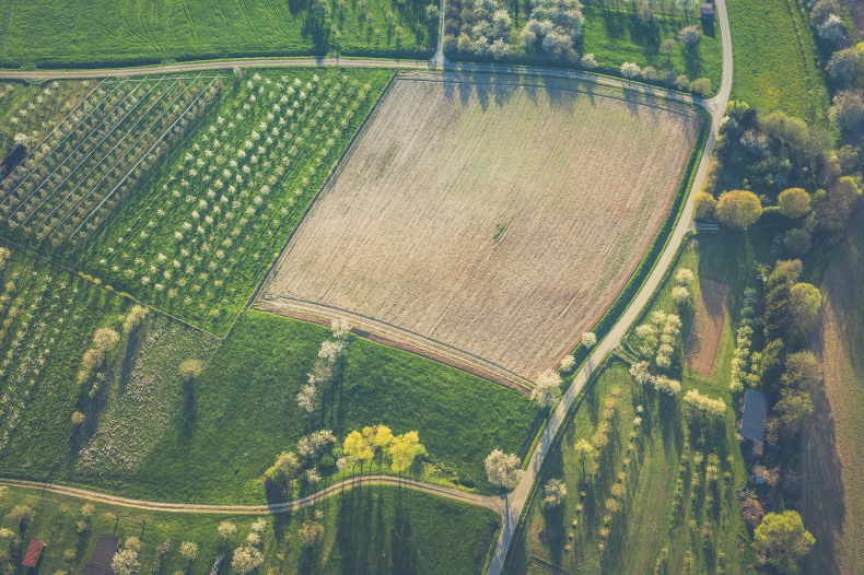 Raport IJHARS: rośnie liczba producentów i powierzchnia upraw ekologicznych - ZielonaGospodarka.pl