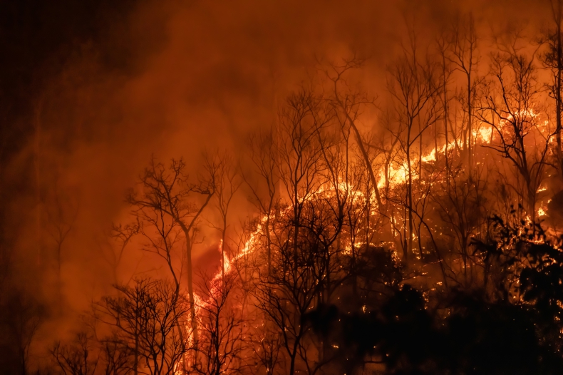 Ogłoszono stan klęski żywiołowej w związku z licznymi pożarami lasów w Kolumbii - ZielonaGospodarka.pl