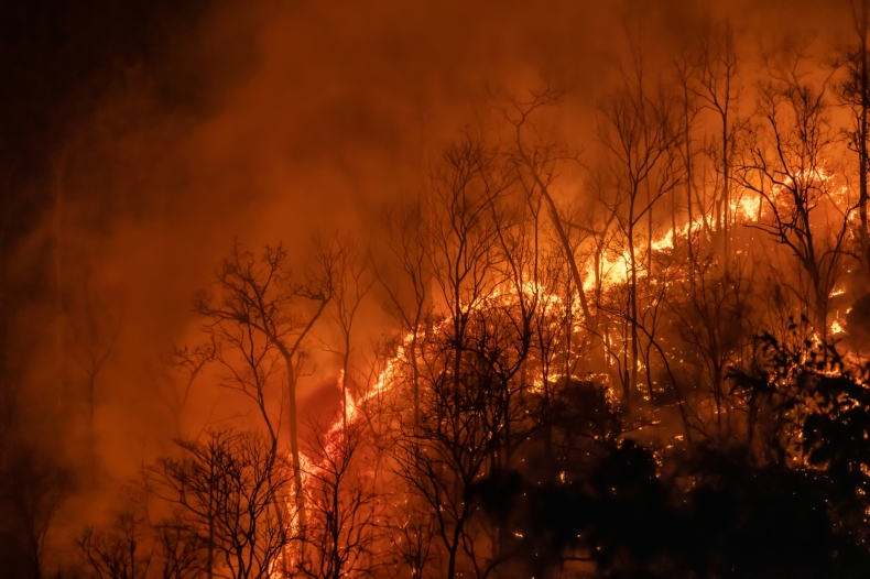 Chile. W pożarach lasów zginęło 10 osób, ogłoszono stan wyjątkowy - ZielonaGospodarka.pl