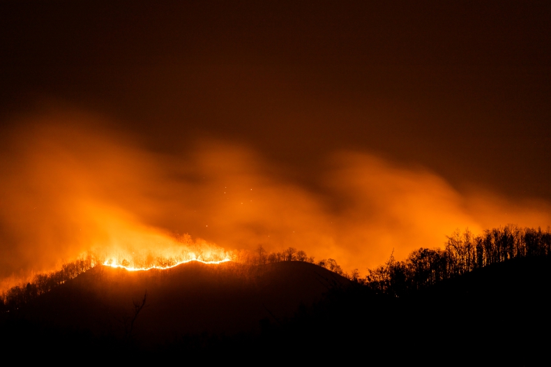 Do 112 wzrosła liczba ofiar śmiertelnych pożarów lasów w regionie Valparaiso - ZielonaGospodarka.pl