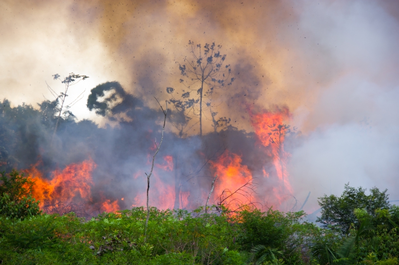 W lutym rekordowa liczba pożarów w Amazonii – blisko 3 tysiące - ZielonaGospodarka.pl