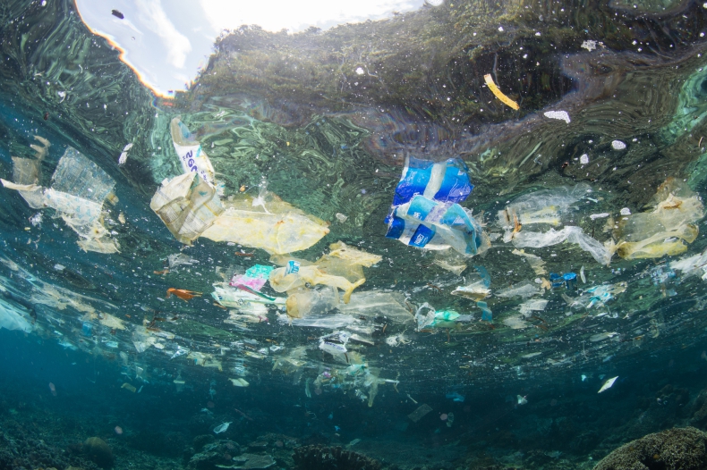 Nowe badania potwierdziły, że ocean jest pełen plastiku - ZielonaGospodarka.pl