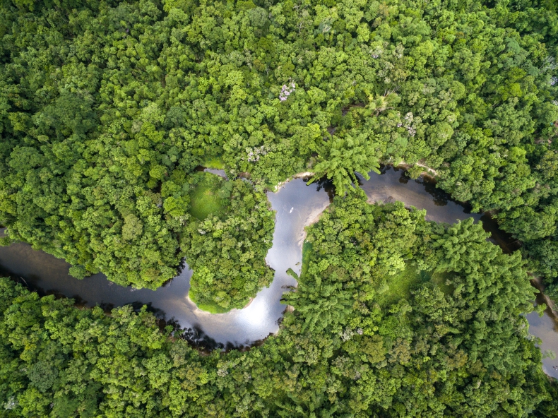 Prezydenci Brazylii i Francji zapowiedzieli miliard euro dla Amazonii - ZielonaGospodarka.pl