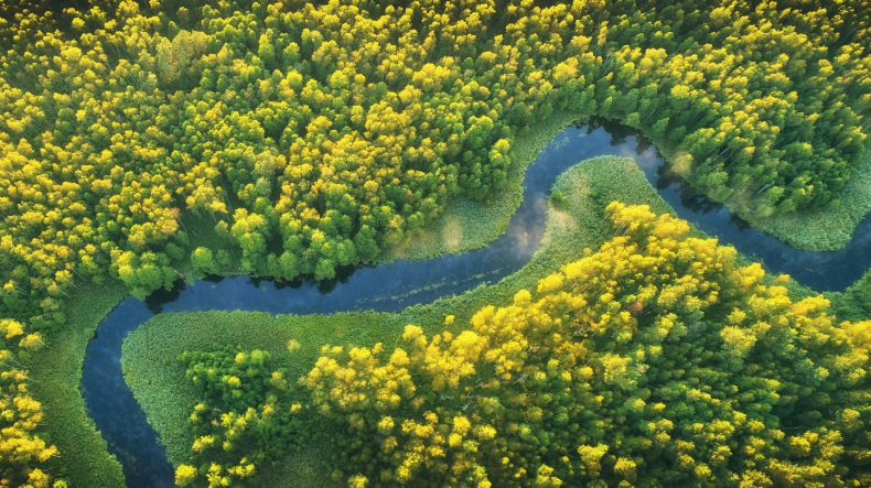 Naukowcy UŁ w międzynarodowym projekcie dotyczącym monitorowania bioróżnorodności w rzekach - ZielonaGospodarka.pl
