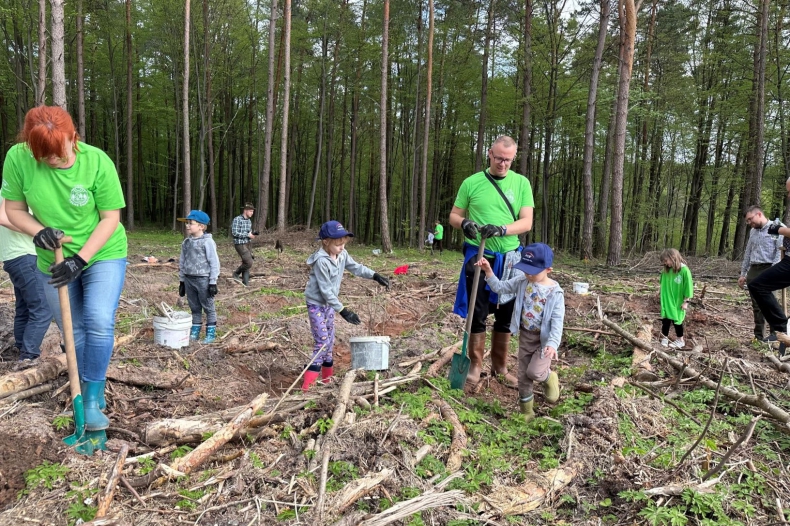 PGE posadziła blisko 70 tys. drzew w tegorocznej wiosennej odsłonie programu „Lasy Pełne Energii” - ZielonaGospodarka.pl