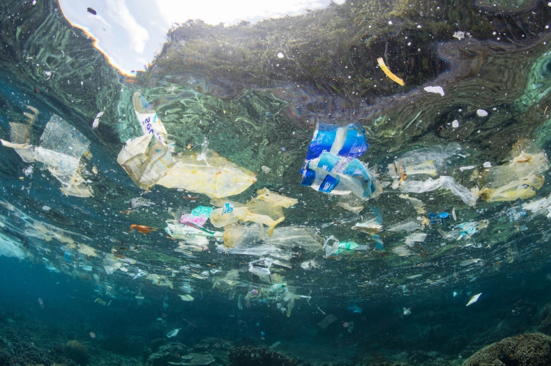 Powstał model zanieczyszczenia oceanów plastikiem - ZielonaGospodarka.pl