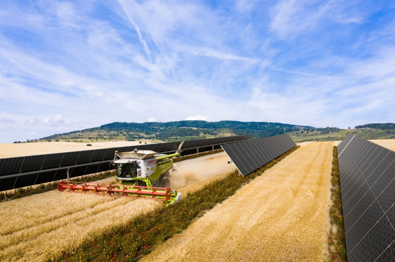 Farma fotowoltaiczna w Hiszpanii łącząca rolnictwo oraz bioróżnorodność, zaopatruje Grupę VELUX w energię odnawialną - ZielonaGospodarka.pl