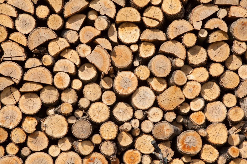 Projekt rozporządzenia MKiŚ proponuje definicję drewna energetycznego - ZielonaGospodarka.pl