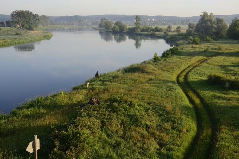 Odra 2024: międzyresortowy zespół ds. Odry analizuje możliwości renaturyzacji rzeki - ZielonaGospodarka.pl