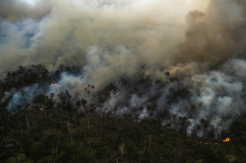 Płuca świata płoną - ogromne pożary w Amazonii  - ZielonaGospodarka.pl