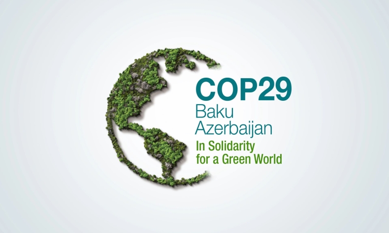 Ekspertka o COP29: największe wyzwanie to znalezienie finansowania na działania dot. zmian klimatu - ZielonaGospodarka.pl