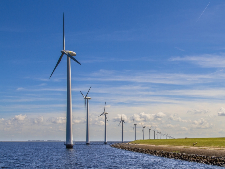 Rozwój europejskiego offshore wind a środowisko morskie. Przybędzie obszarów chronionych - ZielonaGospodarka.pl