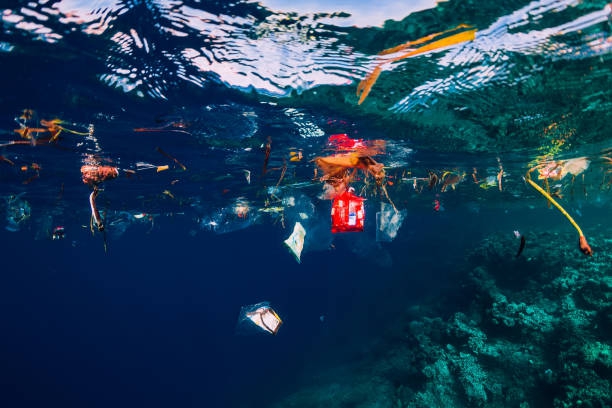 Hiszpański start-up opracował platformę do monitorowania zanieczyszczeń w morzach i oceanach. W czasie rzeczywistym zarządza też usuwaniem śmieci - ZielonaGospodarka.pl