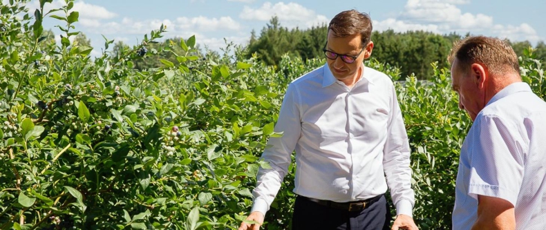 Premier: rolnictwo to wspaniały polski sektor eksportowy, ale przede wszystkim to jest sól ziemi - ZielonaGospodarka.pl