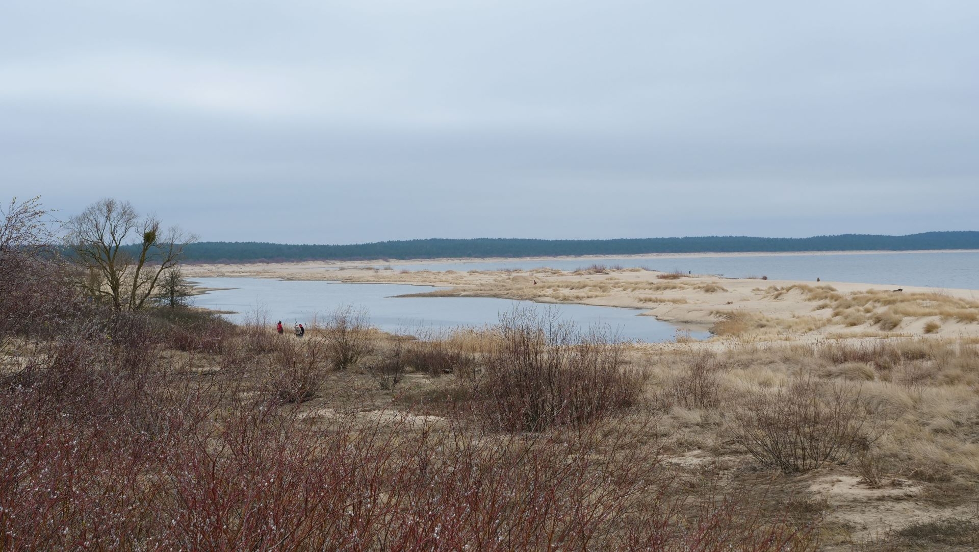 ZielonaGospodarka