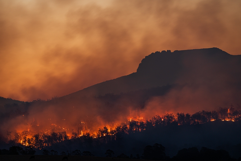 Dixie największym pożarem w historii Kalifornii - ZielonaGospodarka.pl