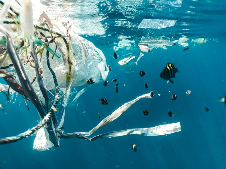 Jak przekształcić niechciany plastik w źródło czystej energii? Naukowcy znają odpowiedź - ZielonaGospodarka.pl