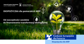 GOZ i efektywność energetyczna w MŚP: od oszczędności zasobów do finansowania transformacji ekologicznej