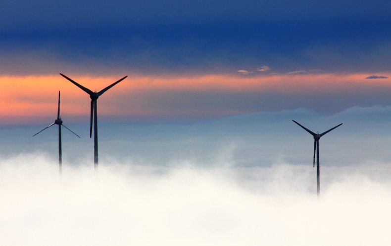 Wind Denmark wzywa do rozwoju farm wiatrowych - ZielonaGospodarka.pl
