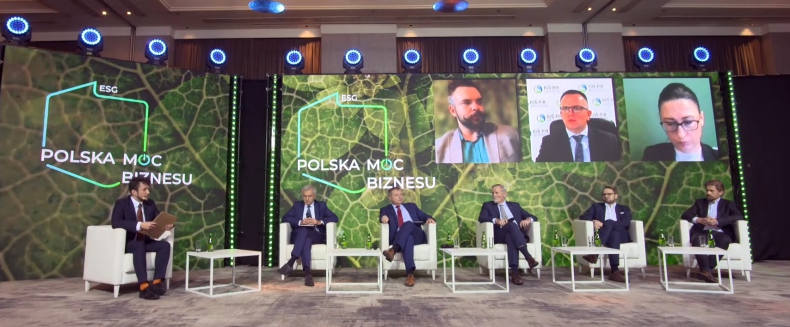 Ile w deklaracjach polityków jest zielonej polityki, a ile zielonej farby? - ZielonaGospodarka.pl