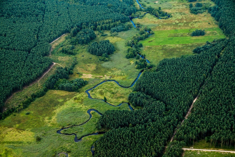 Posłowie za nowelizacją ustawy o lasach oraz ustawy o ochronie przyrody - ZielonaGospodarka.pl