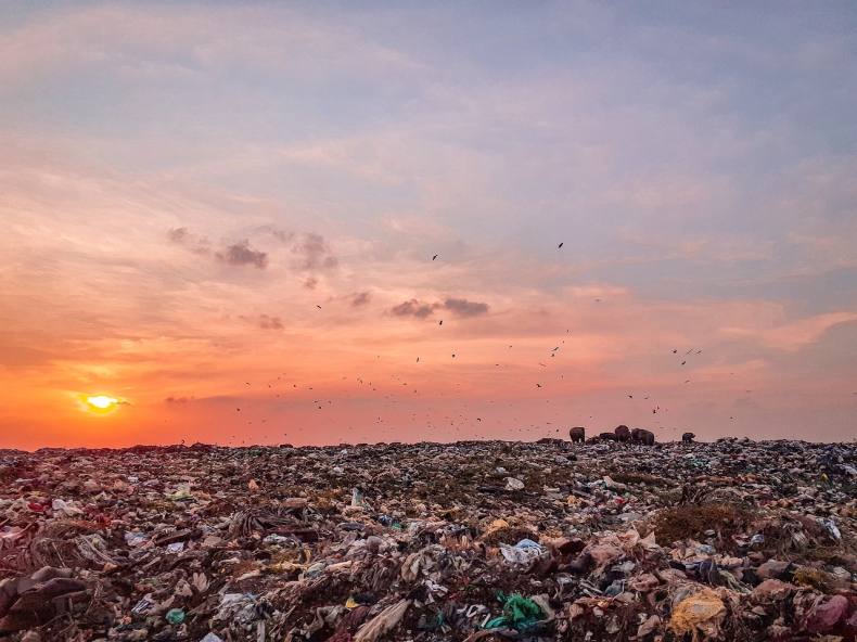 Od 1 stycznia będzie obowiązywać ustawa mająca ograniczyć ilość odpadów na składowiskach - ZielonaGospodarka.pl